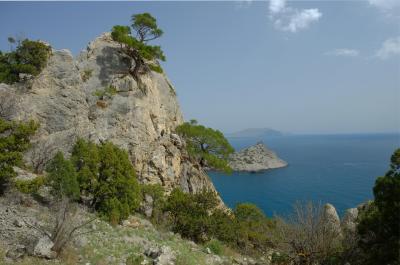 Прикрепленное изображение: н6.jpg